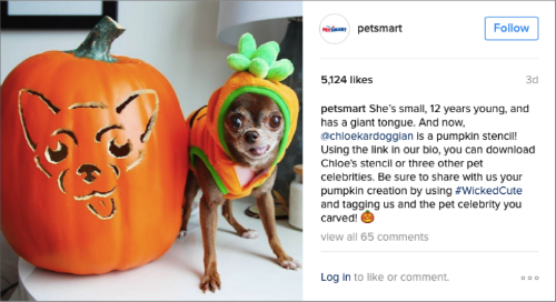 newdevelopments-1017-Petsmart-Halloween-Dog